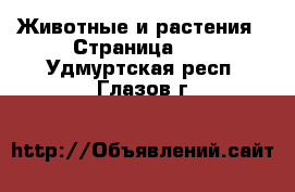  Животные и растения - Страница 11 . Удмуртская респ.,Глазов г.